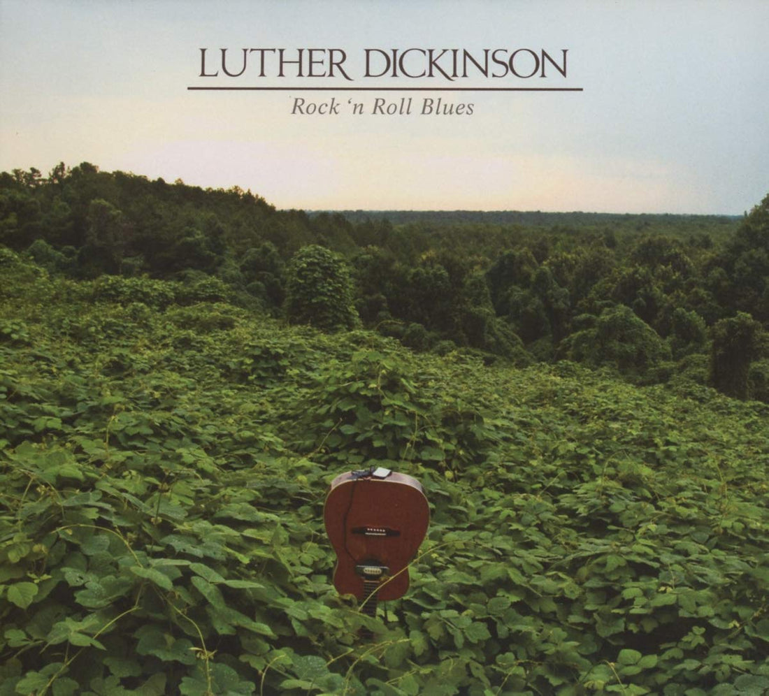 Luther Dickinson- R&R Blues