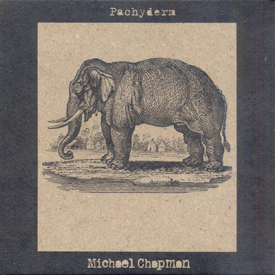 Michael Chapman- Pachyderm